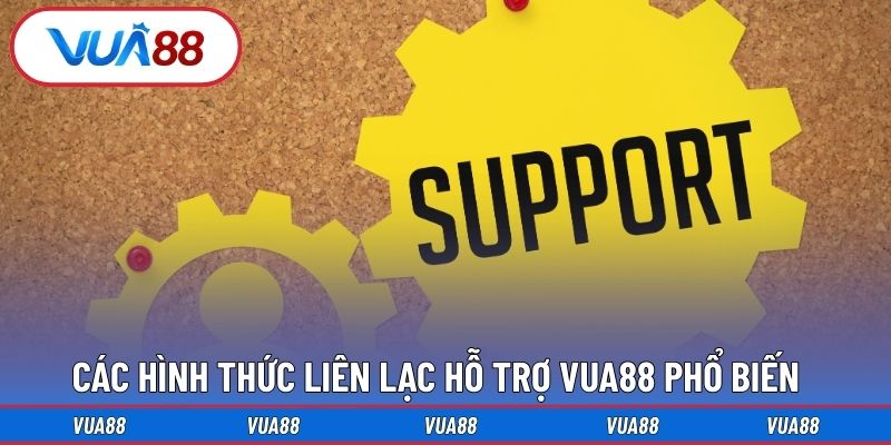 Các hình thức liên lạc hỗ trợ Vua88 phổ biến