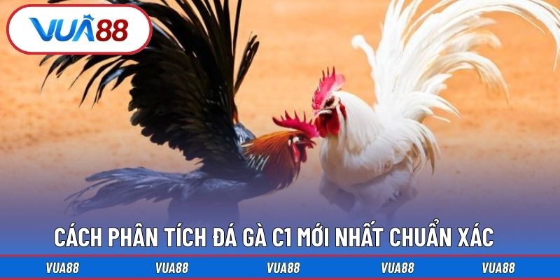 Cách phân tích đá gà C1 mới nhất chuẩn xác