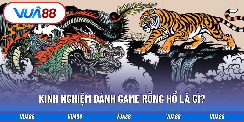 Kinh nghiệm đánh game rồng hổ là gì?