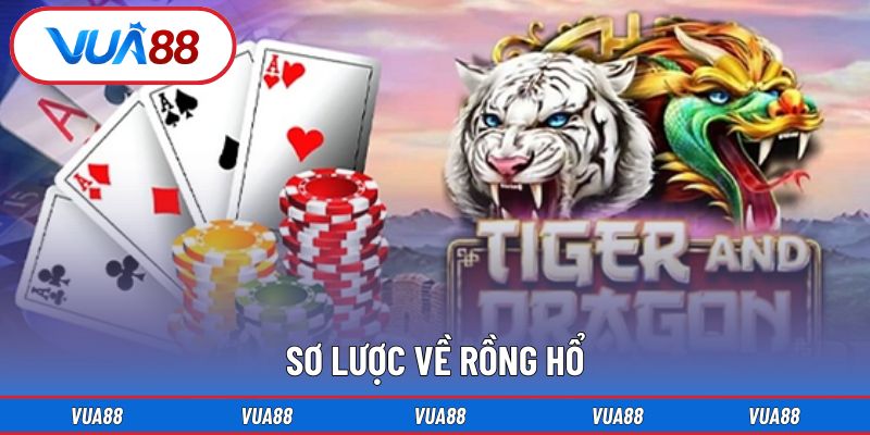 Sơ lược về rồng hổ