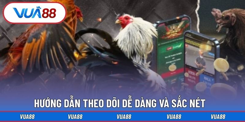 Hướng dẫn theo dõi dễ dàng và sắc nét