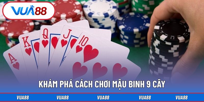 Khám phá cách chơi mậu binh 9 cây tại Vua88