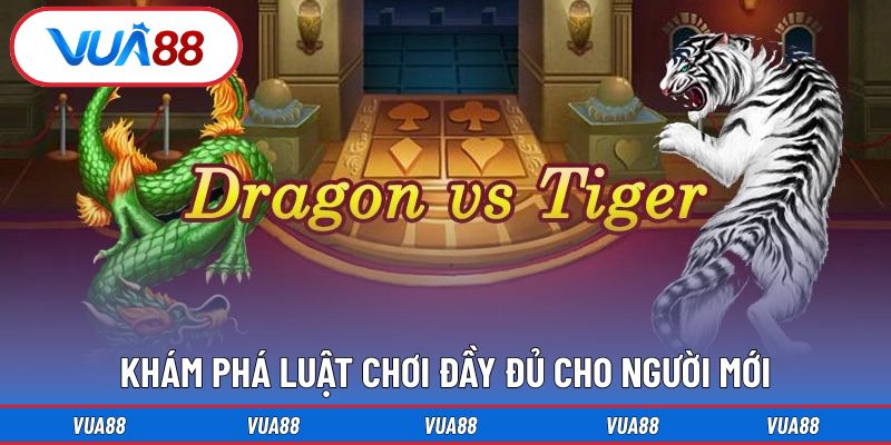 Khám phá luật chơi đầy đủ cho người mới tại Vua88