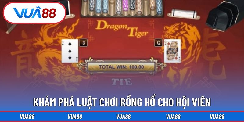 Khám phá luật chơi rồng hổ cho hội viên