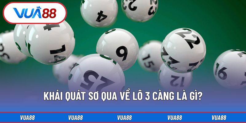 Khái quát sơ qua về lô 3 càng là gì?
