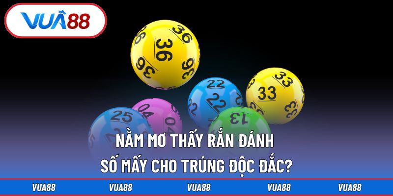 Nằm mơ thấy rắn đánh số mấy cho trúng độc đắc?
