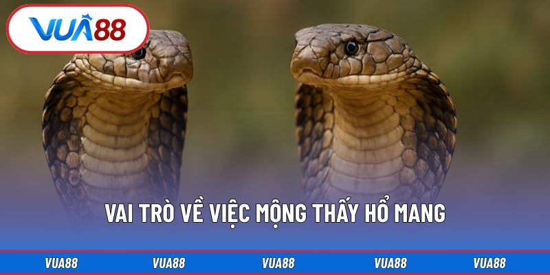 Vai trò về việc mộng thấy hổ mang