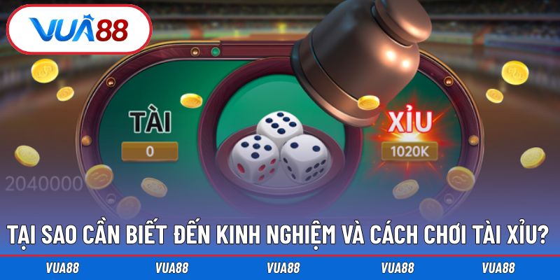 Lý do mà bất kỳ người chơi cần biết kinh nghiệm và cách chơi