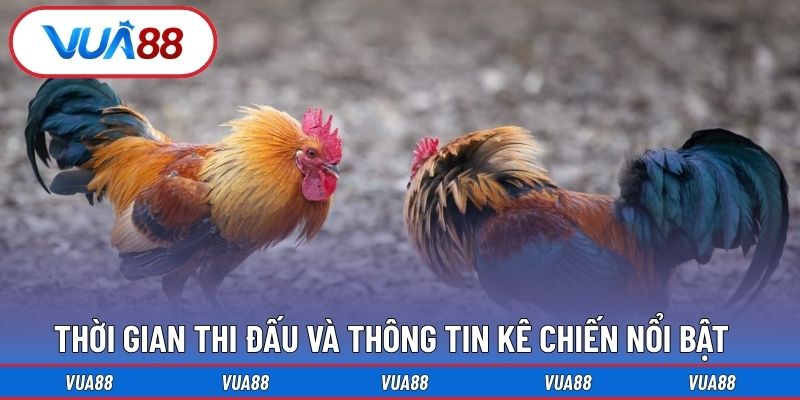 Thời gian thi đấu và thông tin kê chiến nổi bật