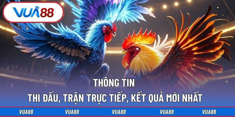 Thông tin thi đấu, trận trực tiếp, kết quả mới nhất