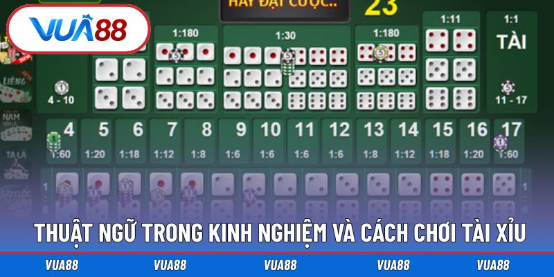 Thuật ngữ xuất hiện trong cách chinh phục Tài xỉu