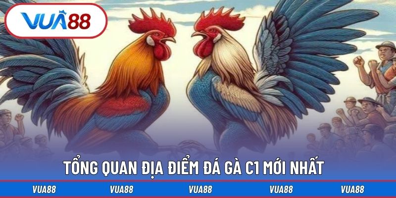 Tổng quan địa điểm đá gà C1 mới nhất